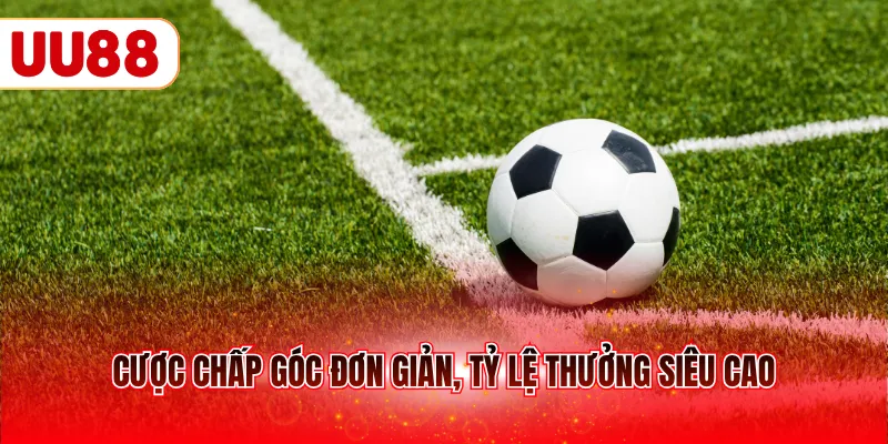 Cược chấp góc đơn giản, tỷ lệ thưởng siêu cao