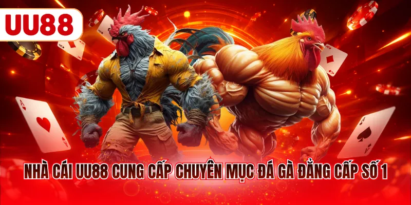 Nhà cái UU88 cung cấp chuyên mục đá gà đẳng cấp số 1